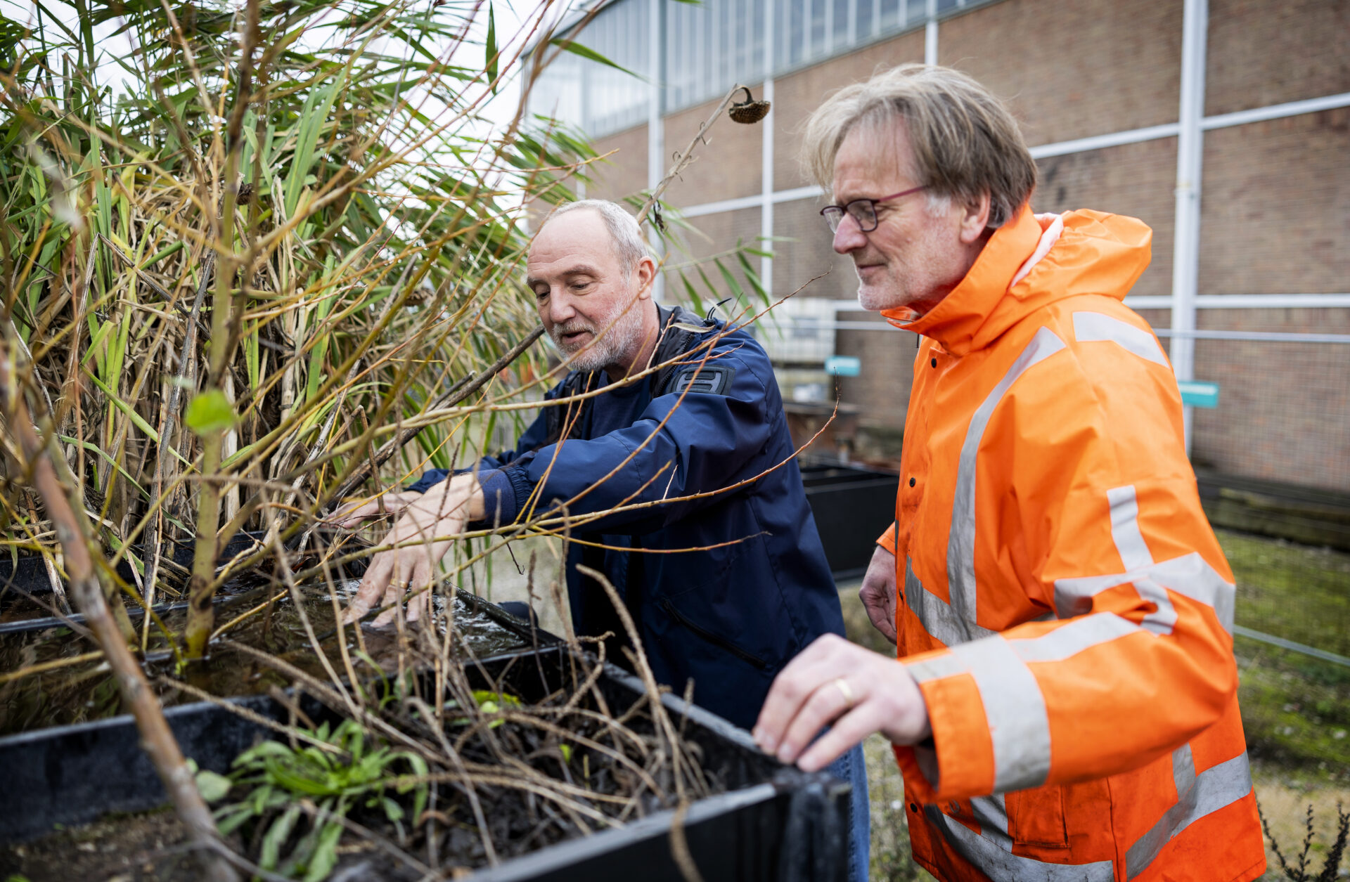 Deltares testopstelling PFAS